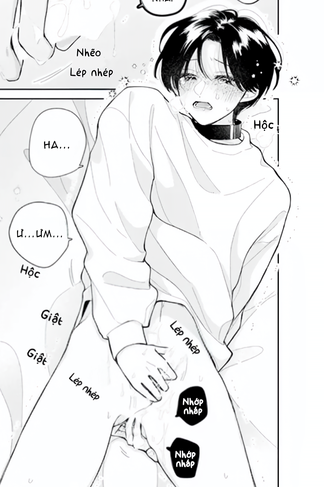 bo-hoa-danh-danh-va-sac-xanh-mong-manh