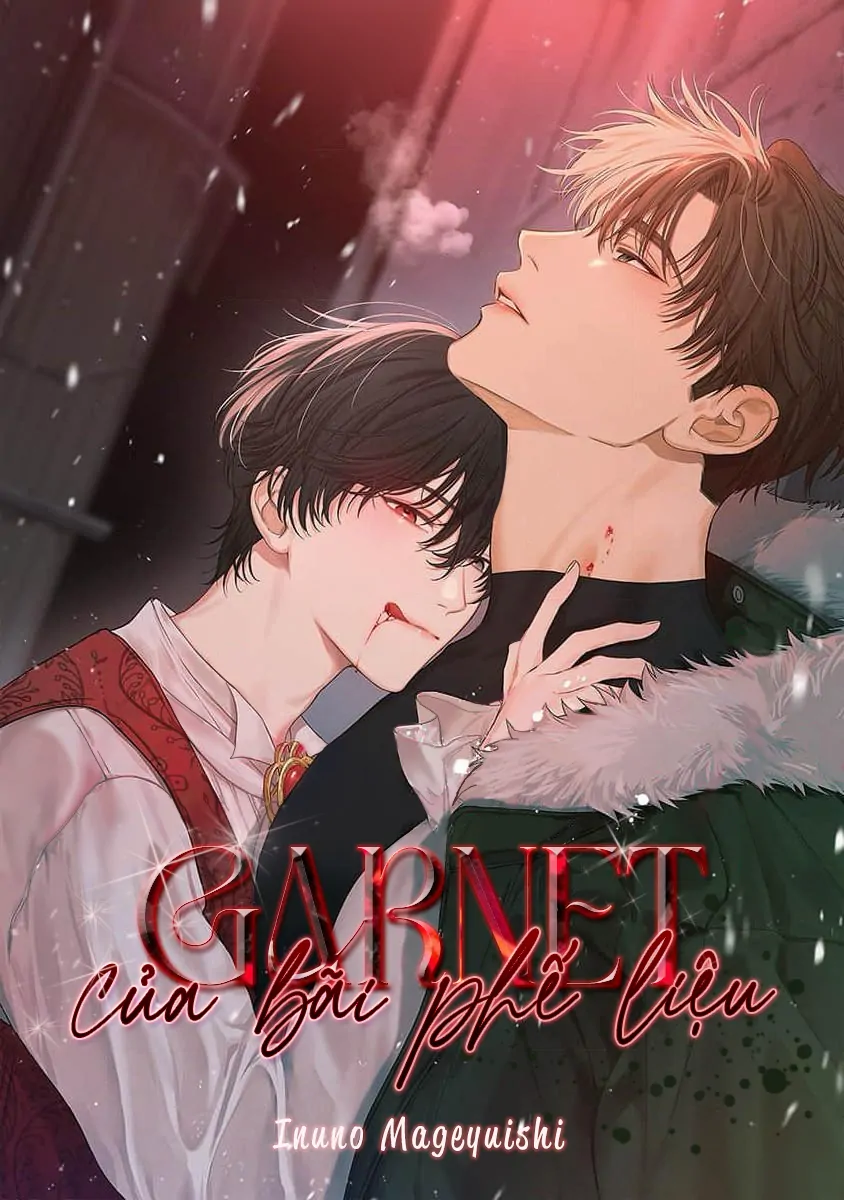 garnet-cua-bai-phe-lieu