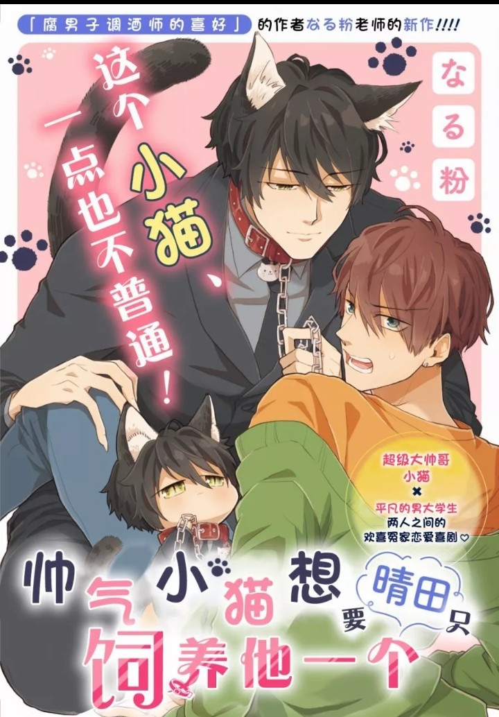 chu-meo-dep-trai-muon-duoc-haruta-nuoi-duong