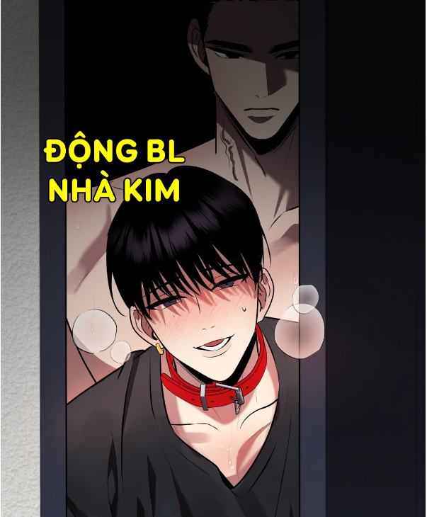 dieu-260-bo-luat-hinh-su