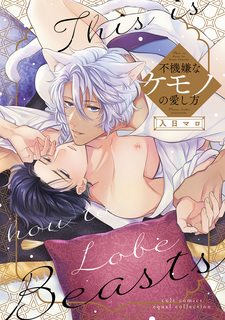 fukigen-na-kemono-no-itoshikata