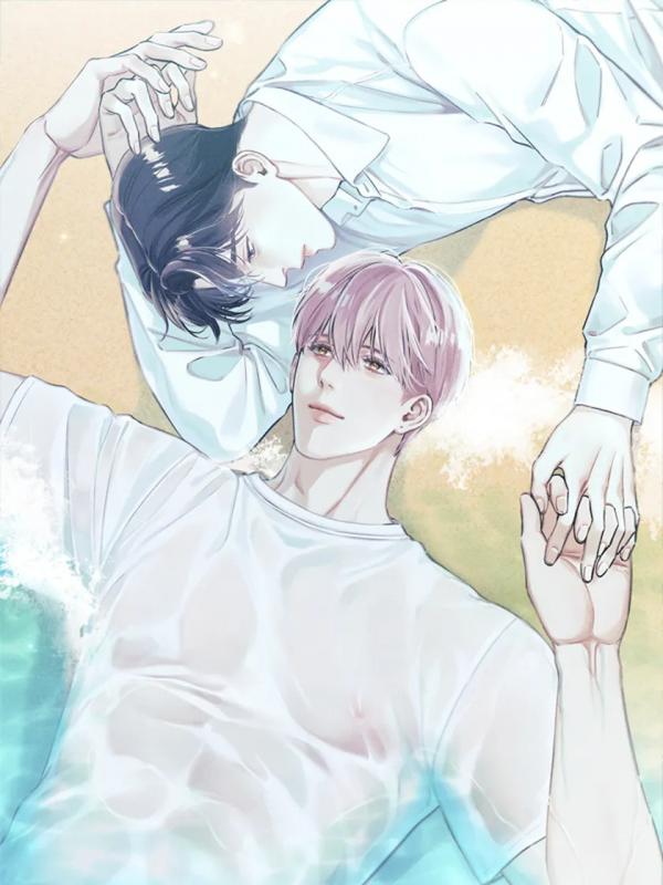 hop-am-tren-mat-bien