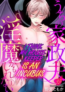 le-nao-nguoi-giup-viec-cua-toi-la-mot-incubus