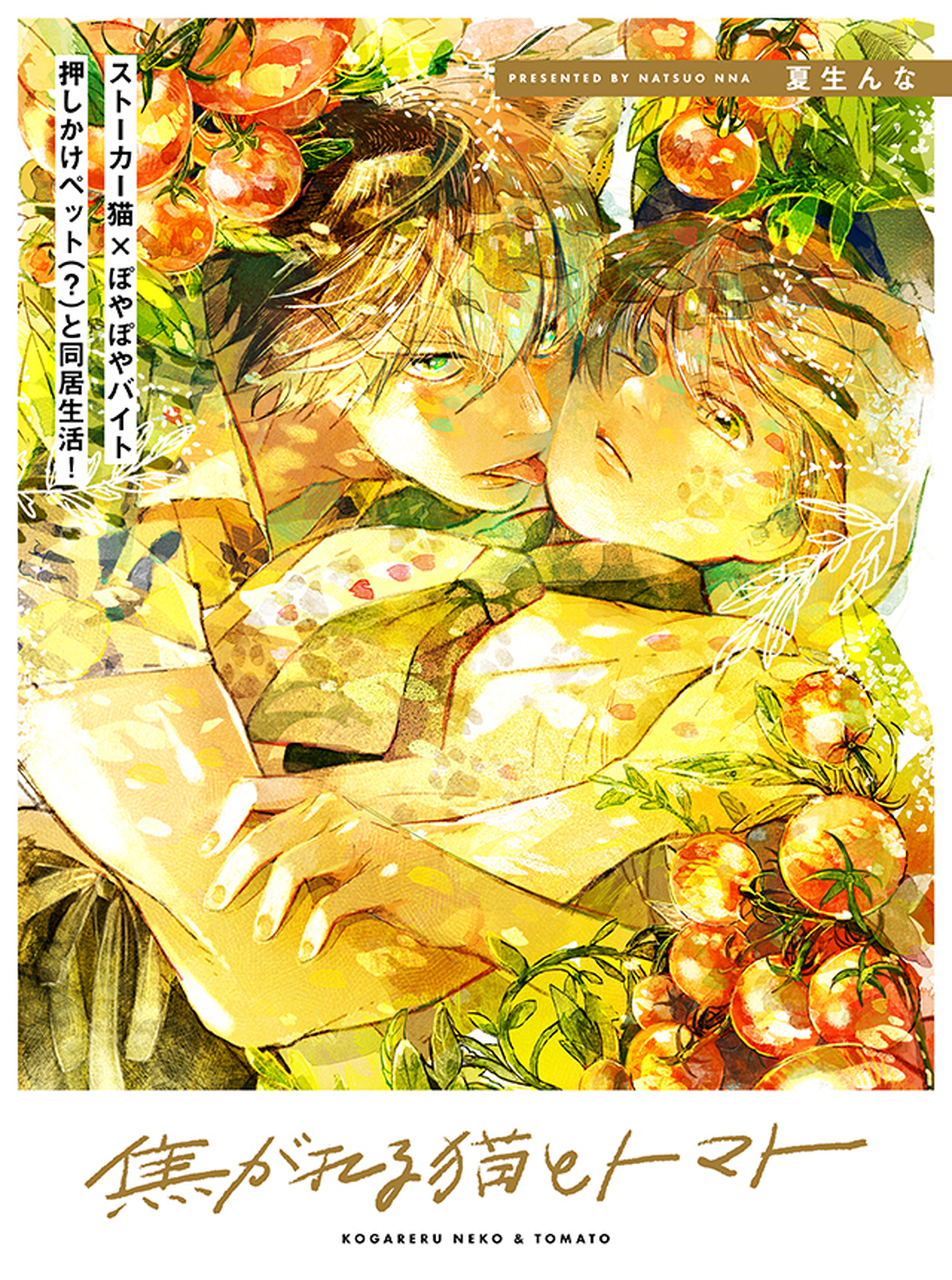 meo-tuong-tu-va-ca-chua