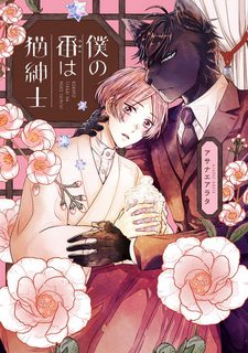 nguoi-hau-cua-quy-ong-meo