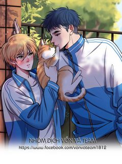 rot-cuoc-meo-con-dang-nghi-gi-the