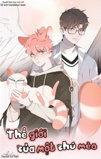 the-gioi-cua-mot-chu-meo