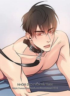 thu-du-dung-tu-y-mo-chuong-end