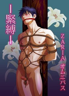 zaria-zariya-ranmaru-kinbaku